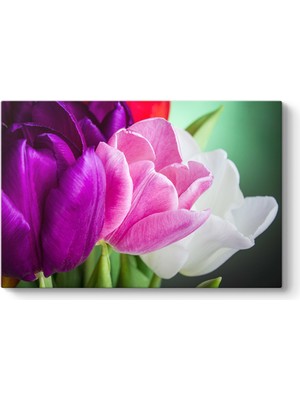 Tabloshop Aranjman Laleler Tablosu