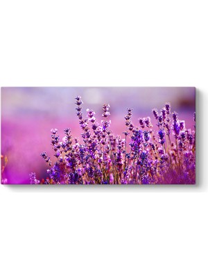 Tabloshop Lavanta Çiçekleri Kanvas Tablo
