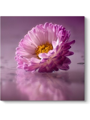 Tabloshop Çiçek Floral Tablo