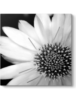 Tabloshop Yakından Gerbera Çiçeği Tablosu