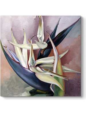 Tabloshop Georgia Okeeffe - White Bird Of Paradise Tablosu