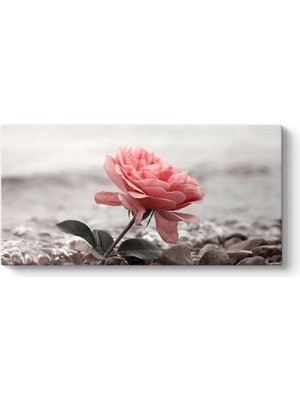 Tabloshop Sahilde Pembe Gül Tablosu