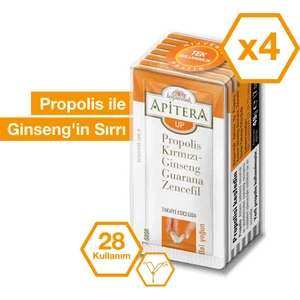 Up 7 g x 28 Adet (Kırmızı Ginseng, Propolis, Guarana, Zencefil, Bal)