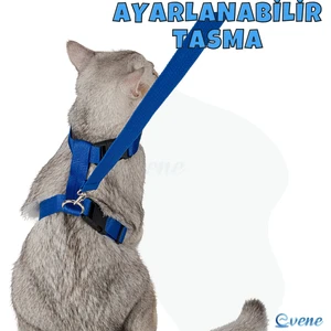 Kedi Tasması Kedi Gögüs Bel Ayarlanabilir Tasma Xz2