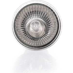 25W Halojen Isı Lambası Uva Uvb Lambası Isıtıcı Ampul (Yurt Dışından)