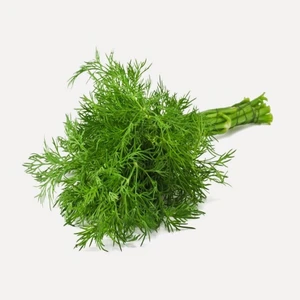 Tacirdepoticaret Doğal Aromalı Dereotu Tohumu -500 Gram