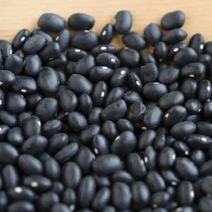 Tacirdepoticaret Geleneksel Siyah Fasulye Tohumu -10 Tohum