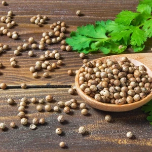 Tacirdepoticaret Doğal Aşotu Tohumu(50 Tohum)