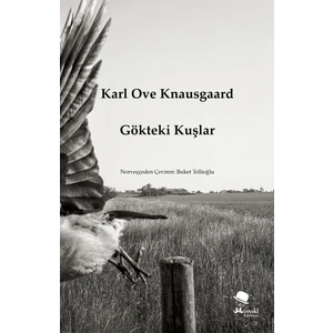 Gökteki Kuşlar - Karl Ove Knausgaard