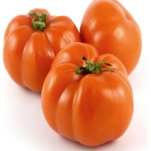 Turuncu Portakal Domates Tohumu -20 Tohum