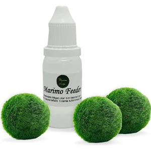 Marimo Scape 3 Adet Şans Getiren Marimo (1-2 Cm)  + Marimo Feeder