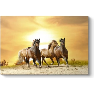 Gün Batımı Atlar Tablosu