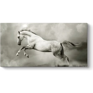 Şahlanan Beyaz At Tablosu