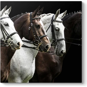 Sıralı Atlar Tablo