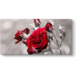Kırmızı Güller Tablosu
