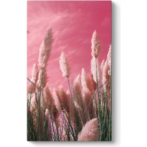 Pembe Zeminli Pampas Tablosu