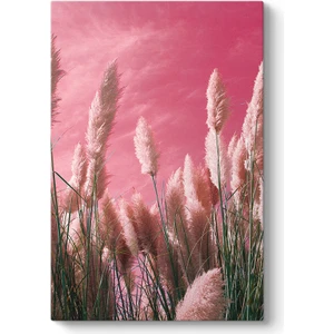 Pembe Zeminli Pampas Tablosu