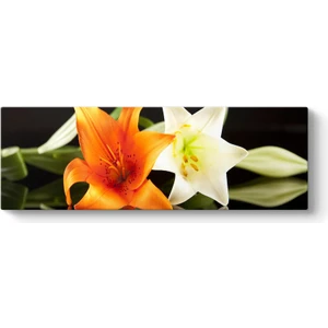 Süsen Iris Çiçeği Tablosu