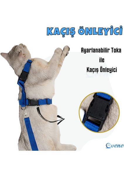 Kedi Tasması Kedi Gögüs Bel Ayarlanabilir Tasma Xz2