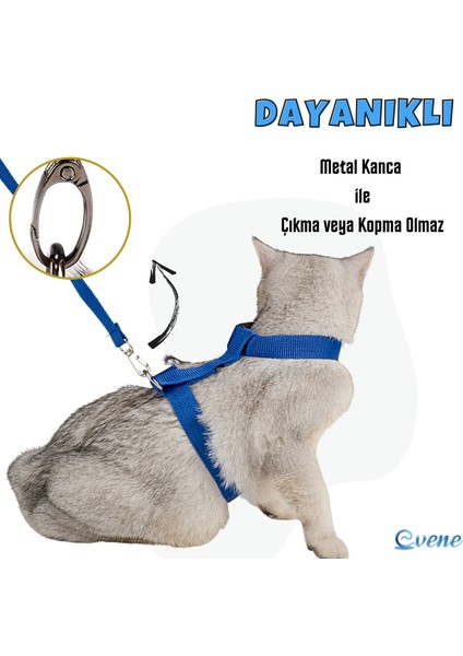 Kedi Tasması Kedi Gögüs Bel Ayarlanabilir Tasma Xz2