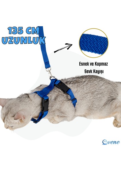 Kedi Tasması Kedi Gögüs Bel Ayarlanabilir Tasma Xz2
