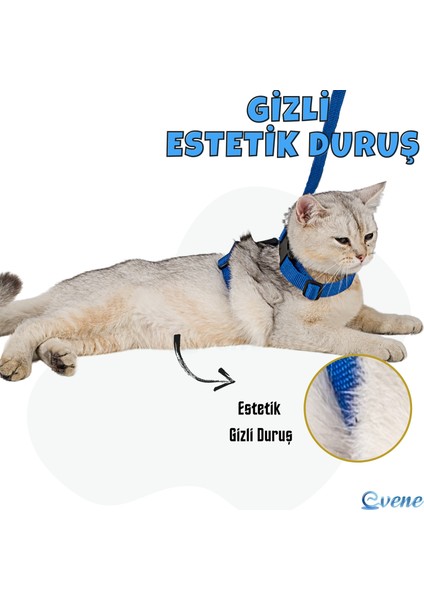 Kedi Tasması Kedi Gögüs Bel Ayarlanabilir Tasma Xz2