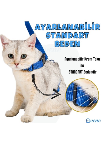 Kedi Tasması Kedi Gögüs Bel Ayarlanabilir Tasma Xz2