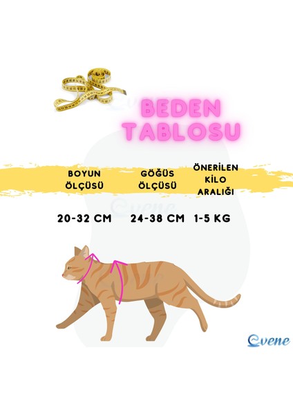 Kedi Tasması Kedi Gögüs Bel Ayarlanabilir Tasma Xz2