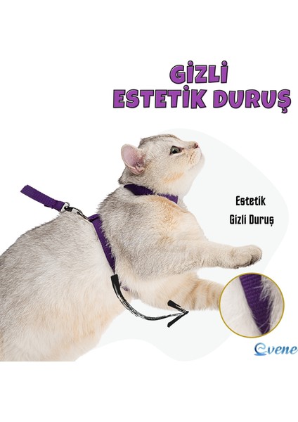 Kedi Tasması Kedi Gögüs Bel Ayarlanabilir Tasma Xz2