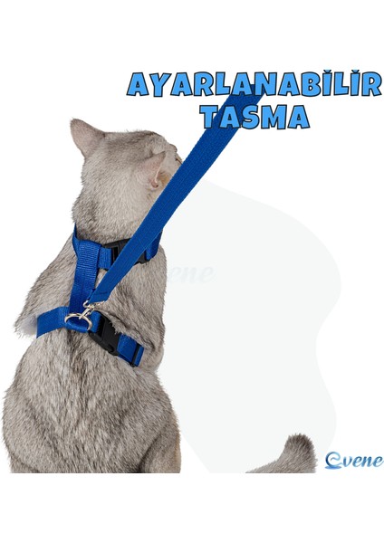 Kedi Tasması Kedi Gögüs Bel Ayarlanabilir Tasma Xz2
