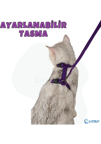 Kedi Tasması Kedi Gögüs Bel Ayarlanabilir Tasma Xz2