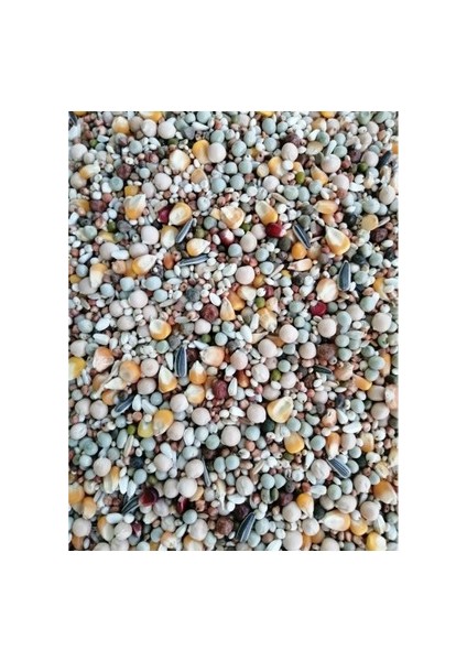 Dört Mevsim Güvercin Yemi 3 kg Açık