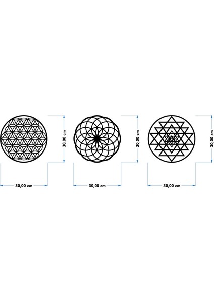 Numa Concept Ahşap Yaşam Çiçeği Sri Yantra Torus Nefesi Üçlü Dekoratif Tablo Duvar Süsü Shri Yantra