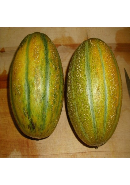 Tacirdepoticaret Bal Gibi Minnesota Midge Kavun Tohumu -10 Tohum