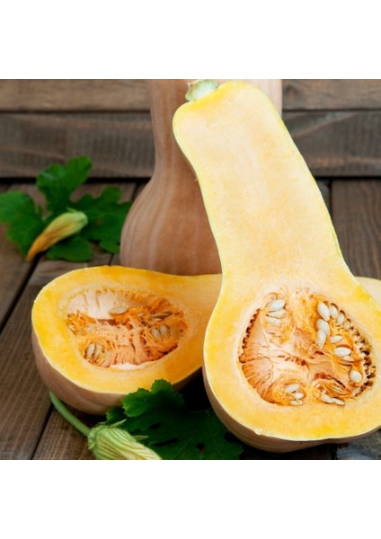 Tacirdepoticaret Özel Waltham Butternut Balkabağı Tohumu -5 Adet