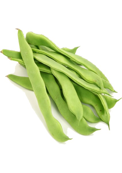 Tacirdepoticaret Kılçıksız Sırık Helda Fasulye Tohumu -20 Tohum