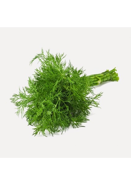 Tacirdepoticaret Doğal Aromalı Dereotu Tohumu -500 Gram