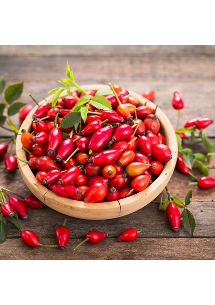 Tacirdepoticaret Kuşburnu (Rosa Canina) Tohumu (30 Adet)