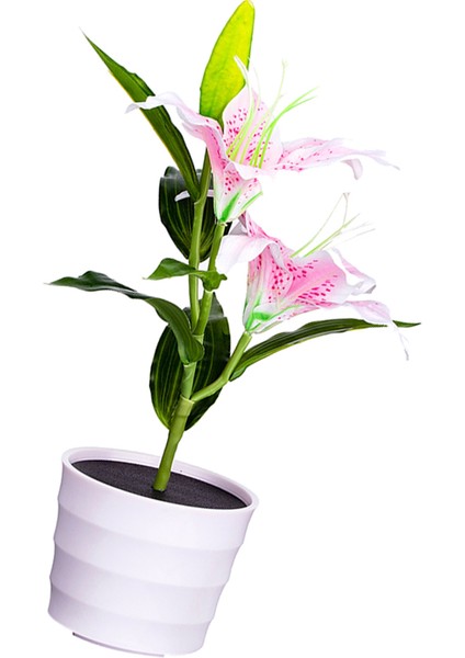 Açık Güneş Bahçe Pembe Zambak Çiçek Işıkları Dekoratif Bahçe Yard Işıkları 2-Led Pembe Lily (Yurt Dışından)