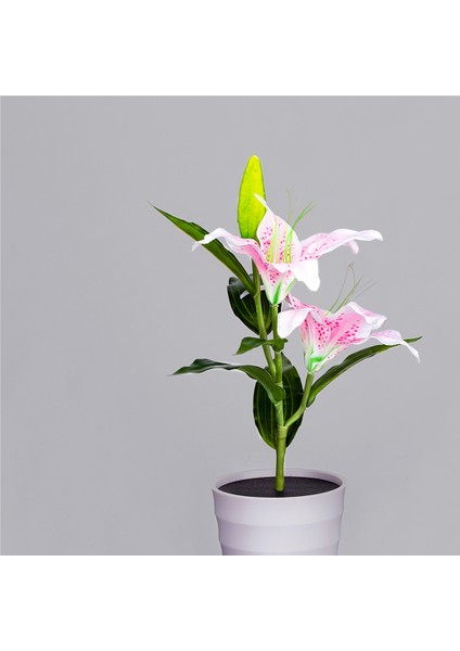 Açık Güneş Bahçe Pembe Zambak Çiçek Işıkları Dekoratif Bahçe Yard Işıkları 2-Led Pembe Lily (Yurt Dışından) modelleri