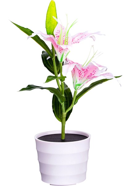 Açık Güneş Bahçe Pembe Zambak Çiçek Işıkları Dekoratif Bahçe Yard Işıkları 2-Led Pembe Lily (Yurt Dışından) fırsatları