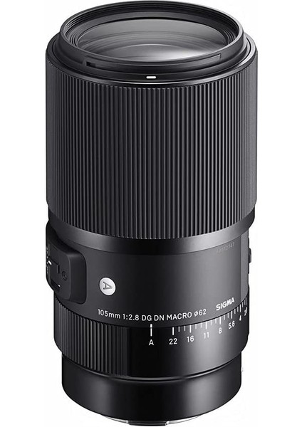 105MM F / 2.8 Dg Dn Makro Sanat Lens - Siyah (Sony E) (Yurt Dışından)