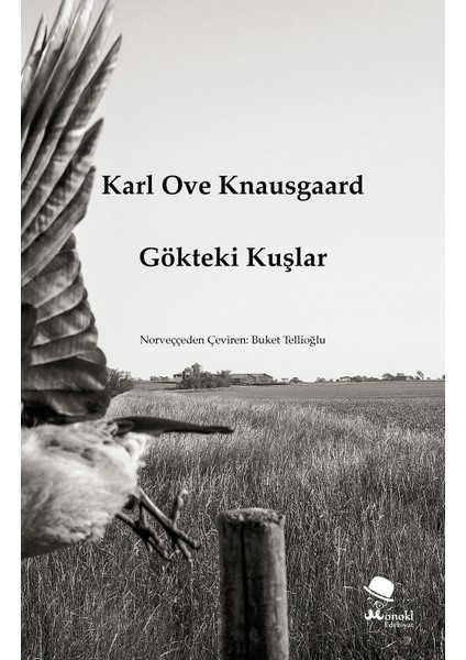 Gökteki Kuşlar - Karl Ove Knausgaard