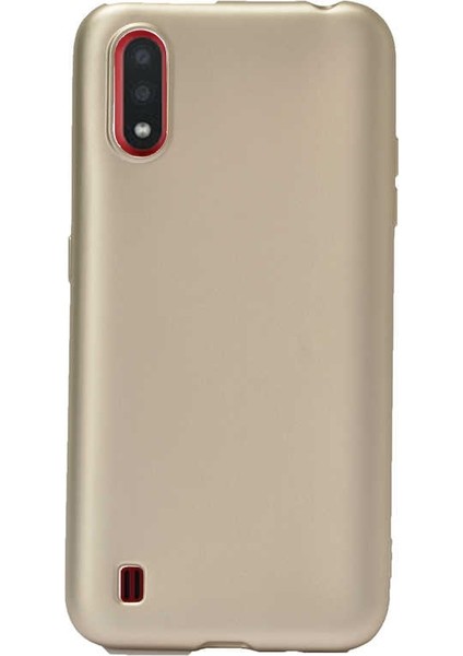 Samsung Galaxy A01 Kılıf Premier Silikon Koruma+Nano Glass Gold