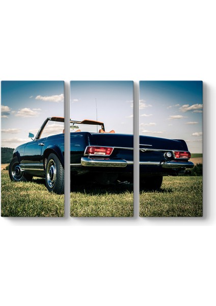 Mercedes Benz W113 Tablosu - Tabloshop