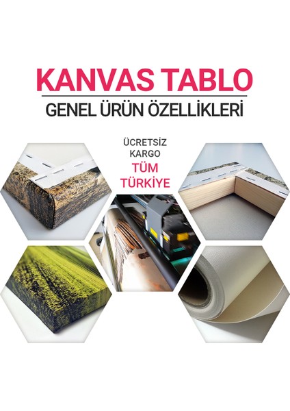 Koleksiyonluk Arabalar Tablosu - Tabloshop