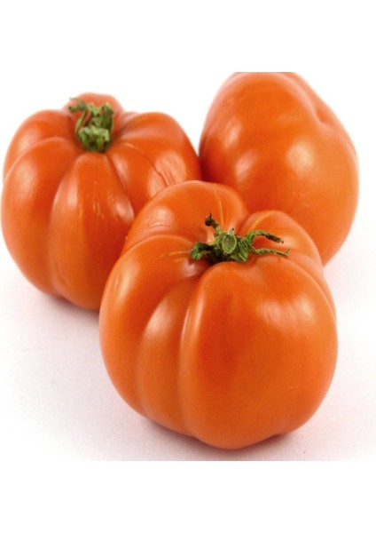 Turuncu Portakal Domates Tohumu -20 Tohum