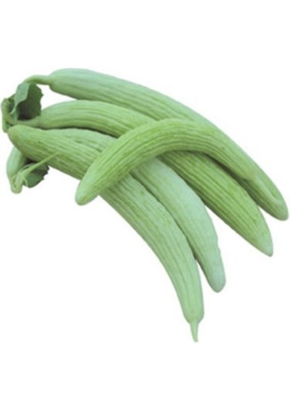 Süper Acur Tohumu Verimi Yüksek- 10 Gram