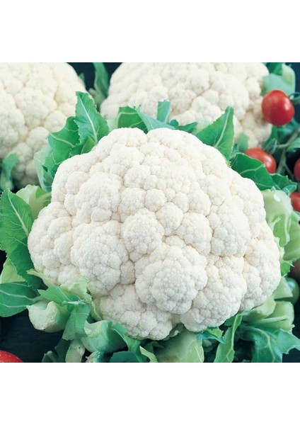 Doğal Karnabahar Tohumu -190 Tohum