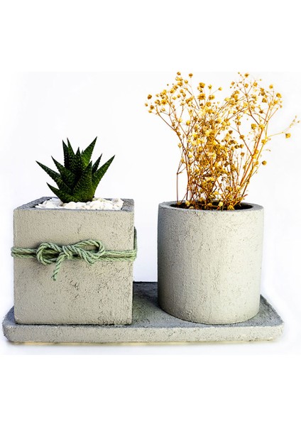 2'li Beton Efekt Serisi Set Saksıda Haworthia Sukulent